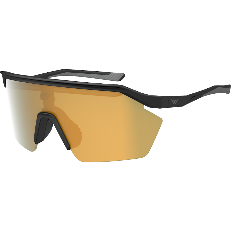 wensotti威騰 wi6018