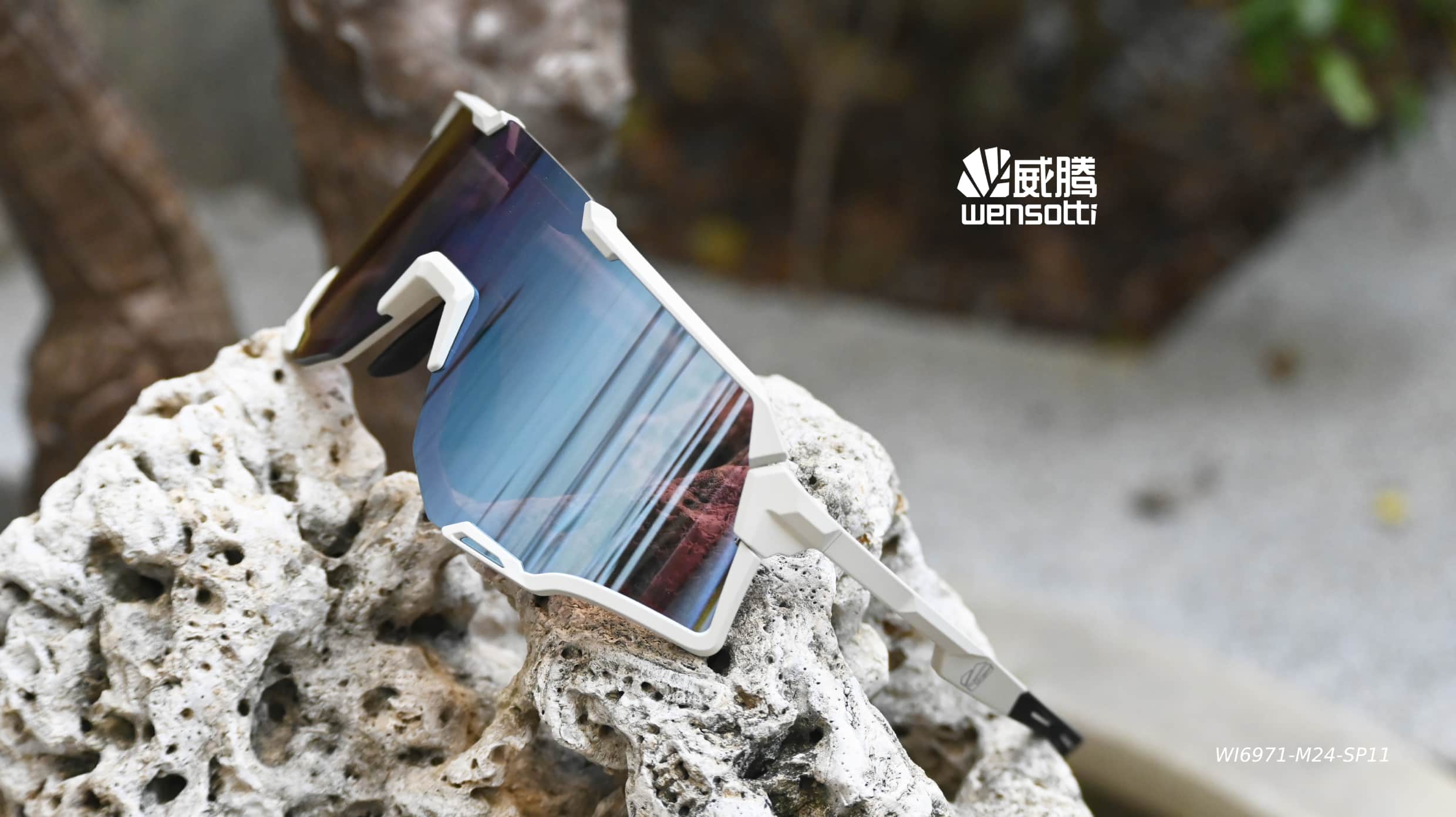 wi6971高功能SP增豔片