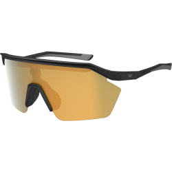 wensotti威騰 wi6018